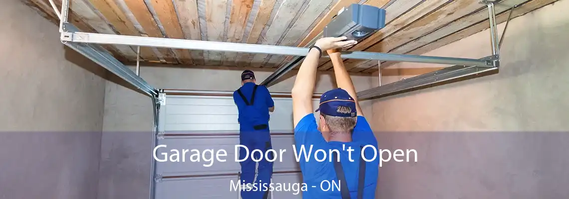 Garage Door Won't Open Mississauga - ON